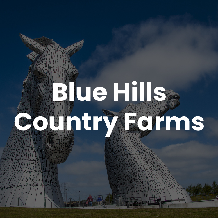 blue hills country farms